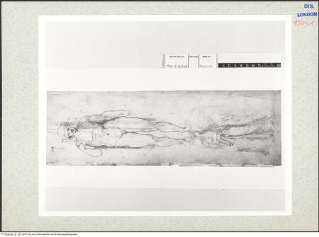 Vorderseite von bh312754_recto