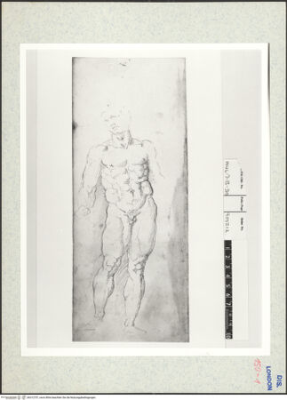 Vorderseite von bh312757_recto