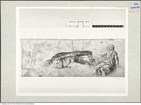 Vorderseite von bh312759_recto