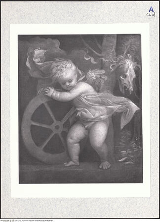 Vorderseite von bh312762_recto