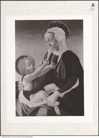 Vorderseite von bh312787_recto