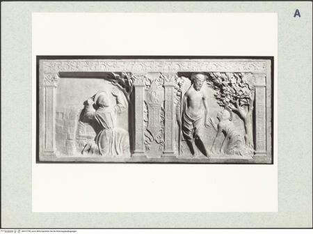 Vorderseite von bh312796_recto