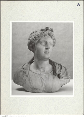 Vorderseite von bh312859_recto