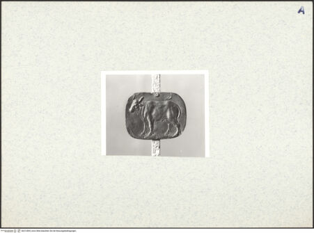 Vorderseite von bh312895_recto