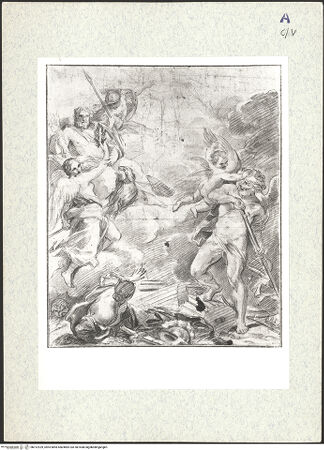 Vorderseite von bh312929_recto