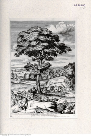 Vorderseite von Landesbildstelle Rheinland [http://creativecommons.org/publicdomain/mark/1.0/] Villa Aldobrandina Tusculana sive Varij illius hortorum et fontium prospectusApoll hütet die Herde des Admetos - , bh312951. Foto.