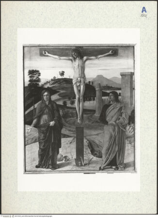 Vorderseite von bh313022_recto