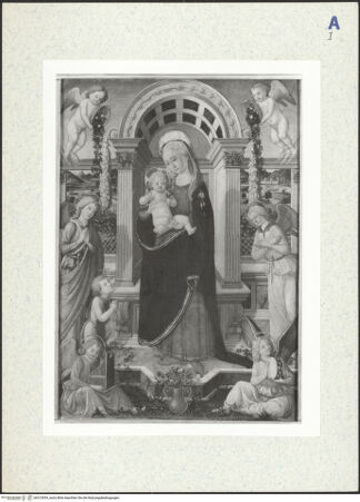 Vorderseite von bh313034_recto