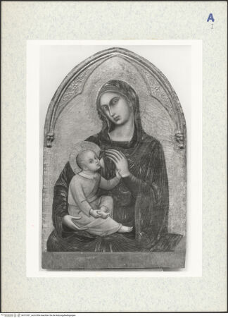 Vorderseite von bh313037_recto