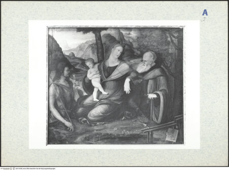 Vorderseite von bh313038_recto