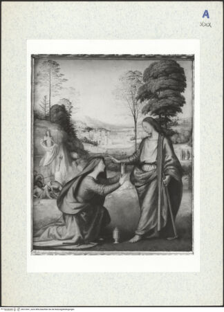 Vorderseite von bh313041_recto