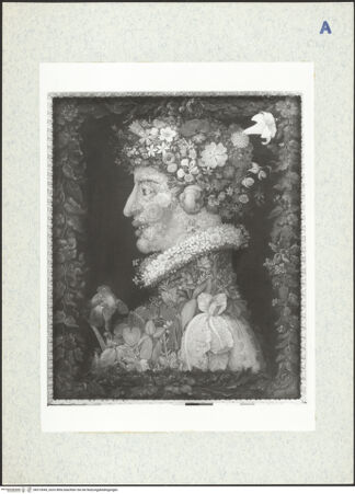 Vorderseite von bh313045_recto