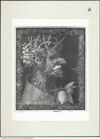 Vorderseite von bh313048_recto