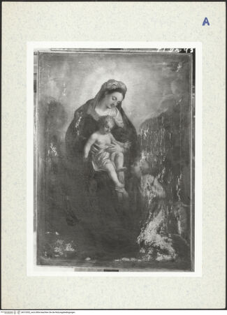 Vorderseite von bh313052_recto