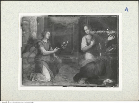 Vorderseite von bh313053_recto