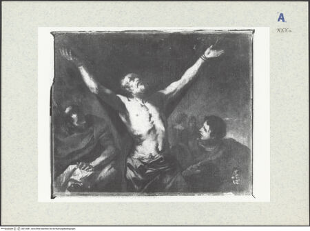 Vorderseite von bh313081_recto