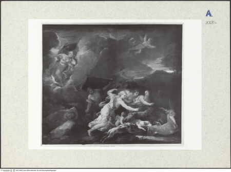 Vorderseite von bh313085_recto