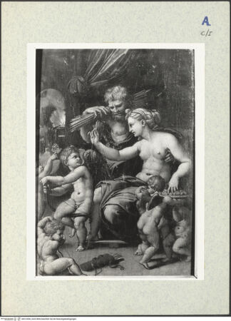 Vorderseite von bh313090_recto