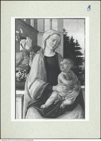 Vorderseite von bh313130_recto