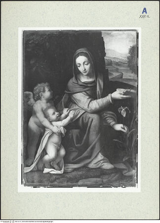 Vorderseite von bh313131_recto