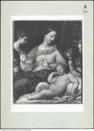 Vorderseite von bh313136_recto