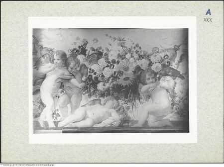 Vorderseite von bh313147_recto