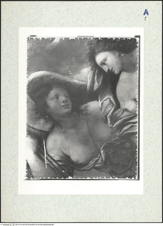 Vorderseite von bh313149_recto