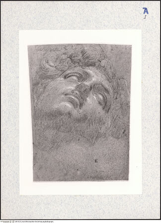 Vorderseite von bh313212_recto