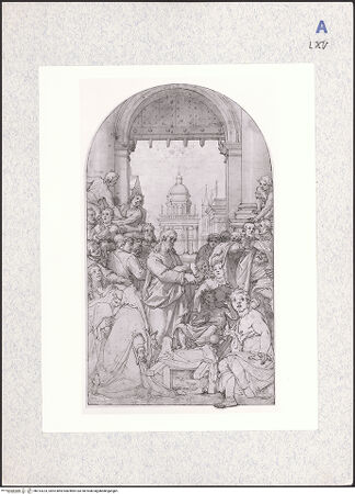 Vorderseite von bh313223_recto