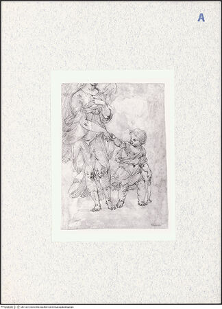 Vorderseite von bh313224_recto