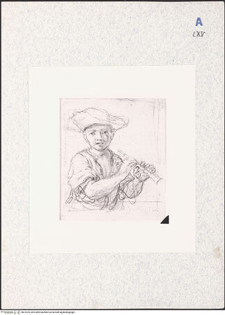 Vorderseite von bh313225_recto