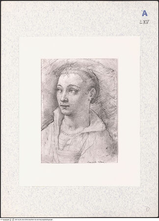 Vorderseite von bh313226_recto