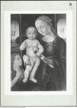 Vorderseite von bh313276_recto