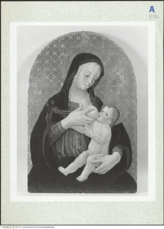 Vorderseite von bh313311_recto