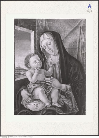 Vorderseite von bh313462_recto