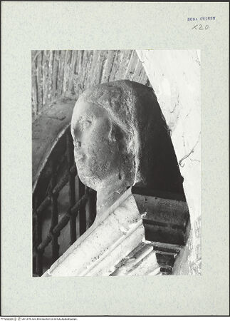 Vorderseite von bh313478_recto