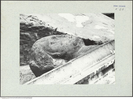 Vorderseite von bh313479_recto