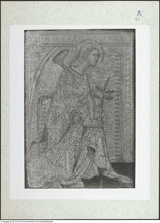 Vorderseite von bh313495_recto