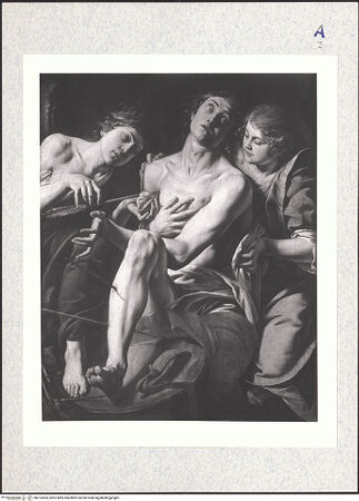 Vorderseite von bh313505_recto