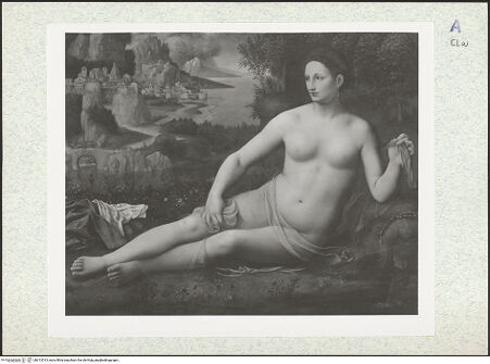 Vorderseite von bh313513_recto