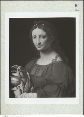 Vorderseite von bh313516_recto