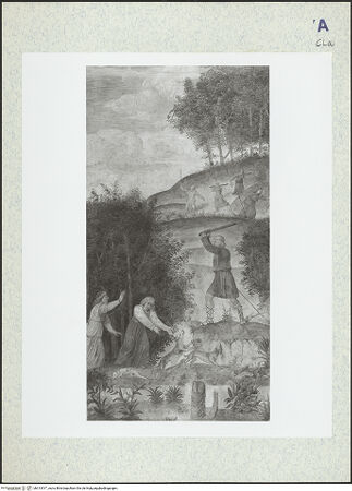 Vorderseite von bh313517_recto