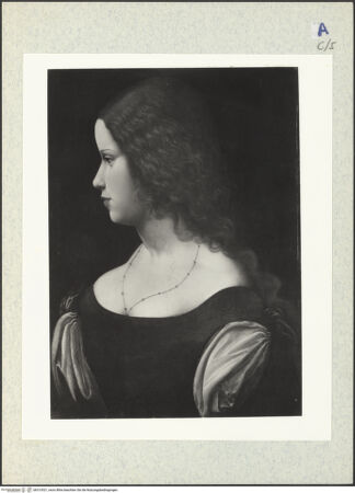 Vorderseite von bh313521_recto