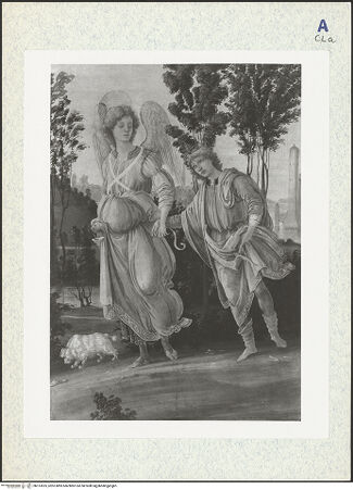 Vorderseite von bh313525_recto