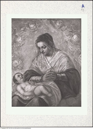 Vorderseite von bh313533_recto