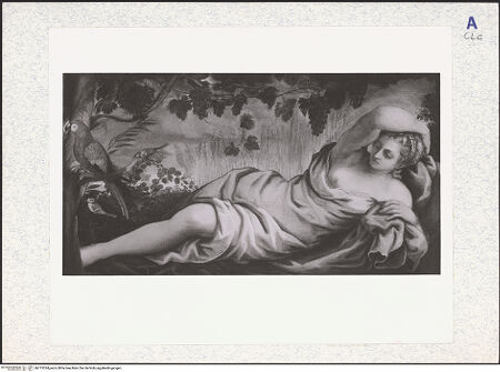 Vorderseite von bh313534_recto