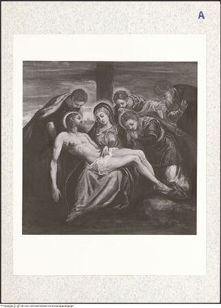 Vorderseite von bh313537_recto