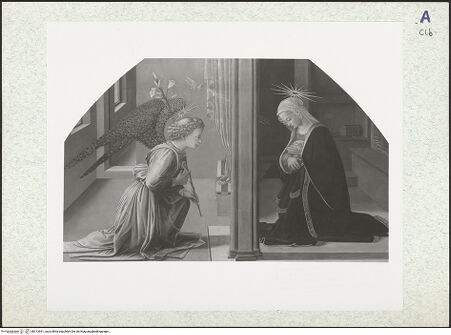 Vorderseite von bh313541_recto