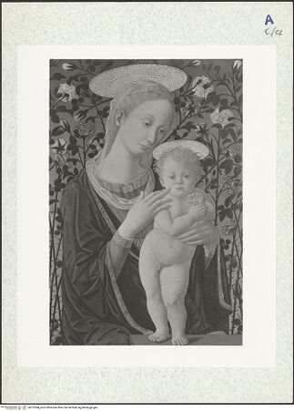 Vorderseite von bh313544_recto