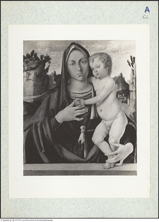 Vorderseite von bh313557_recto